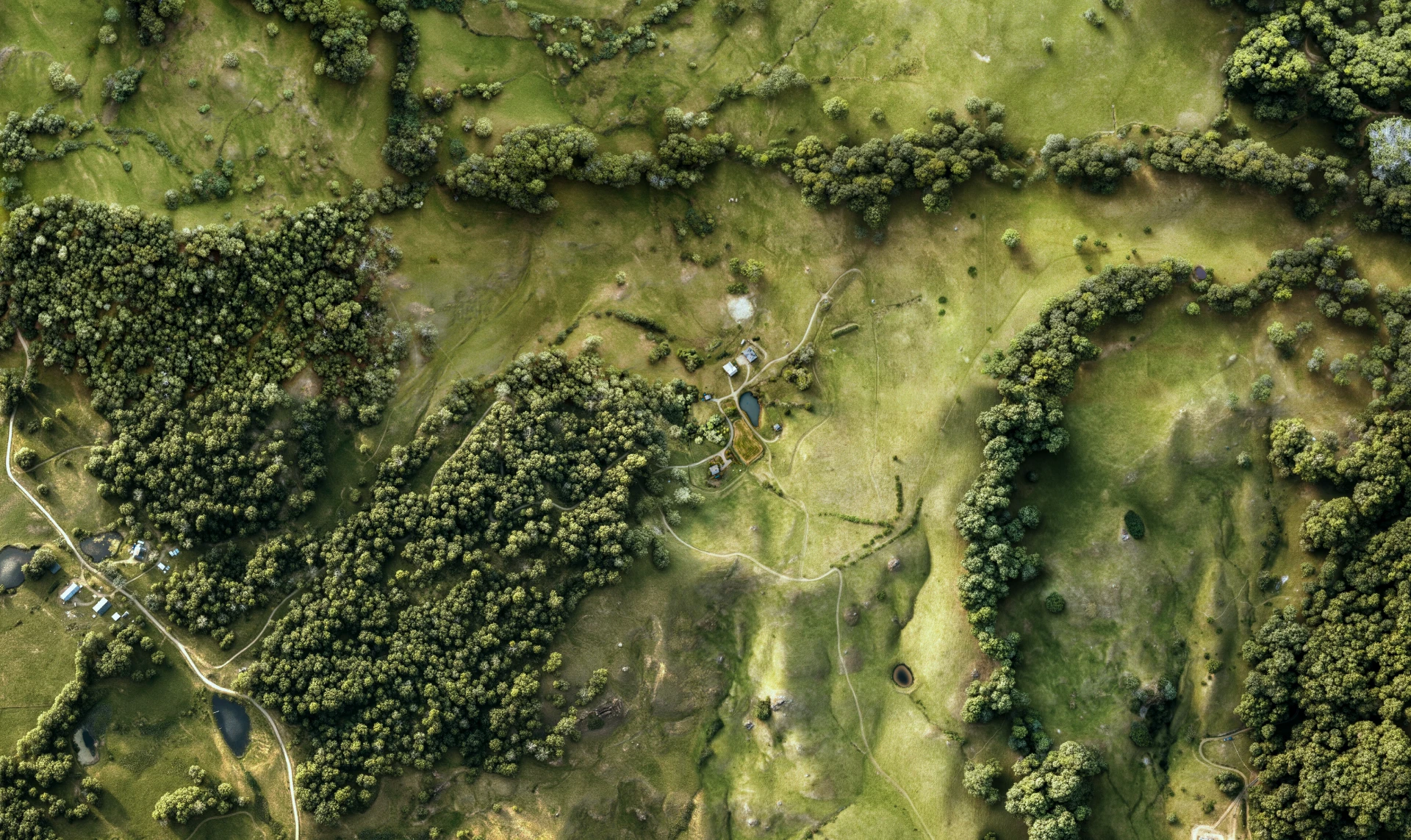 Advanced property orthophoto terrain visualization.
