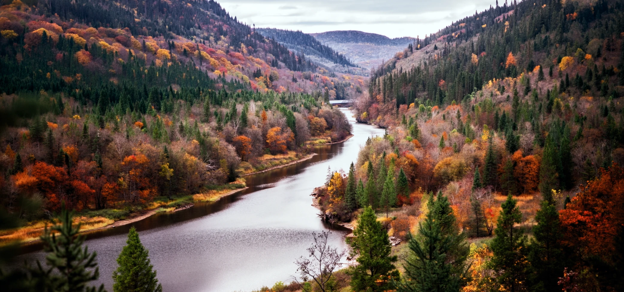 Aerial-style property view showing autumn forest and river context.